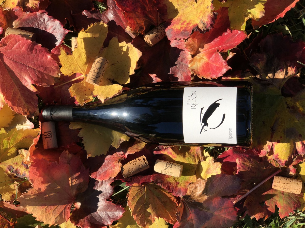 Vin De France - L'eperon 2018