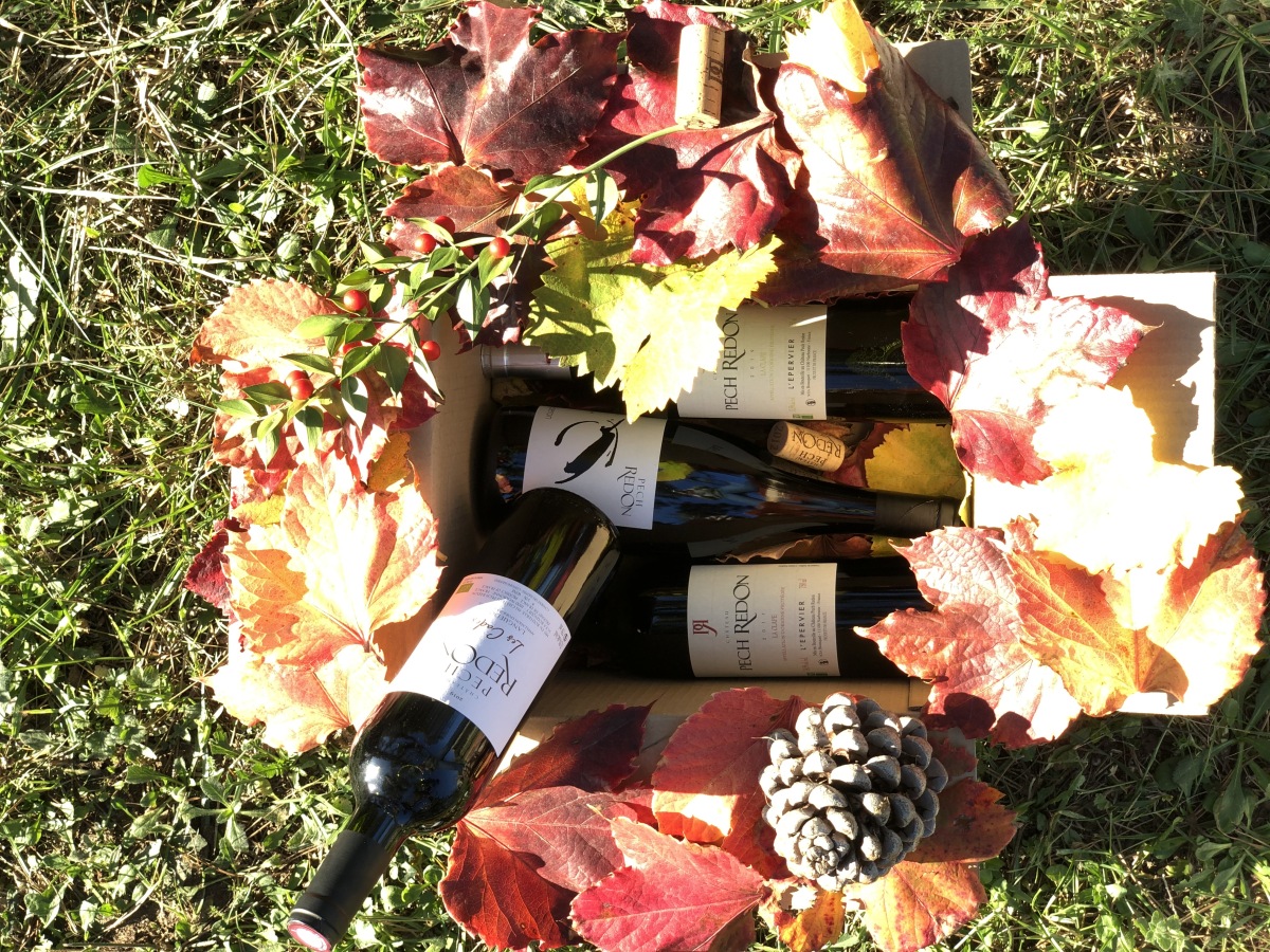 Vin - Coffret Découverte