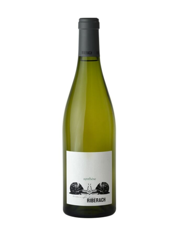 Vin Blanc - Synthèse - Blanc