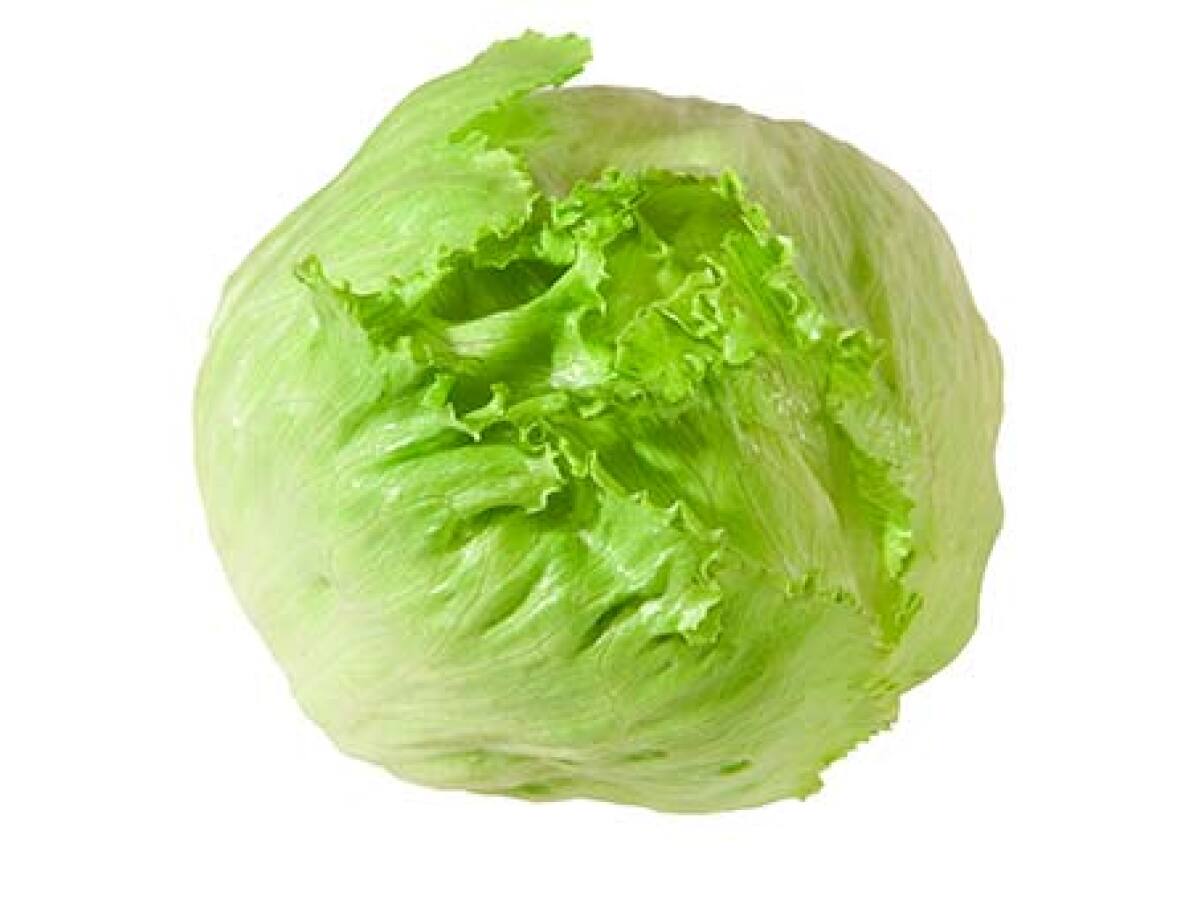 Légumes - Laitues Iceberg