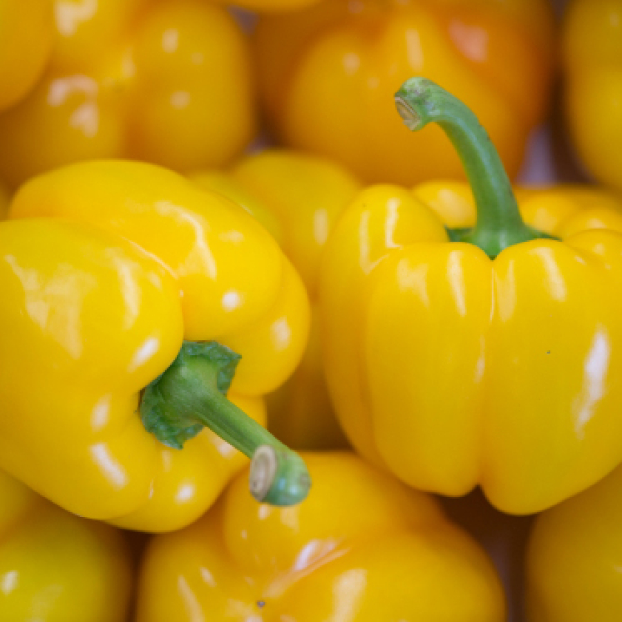 Légumes - Poivrons Jaunes