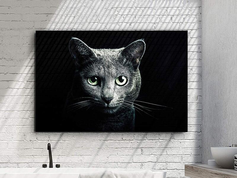 Tableaux - Tableau Numerique Chat Sur Verre