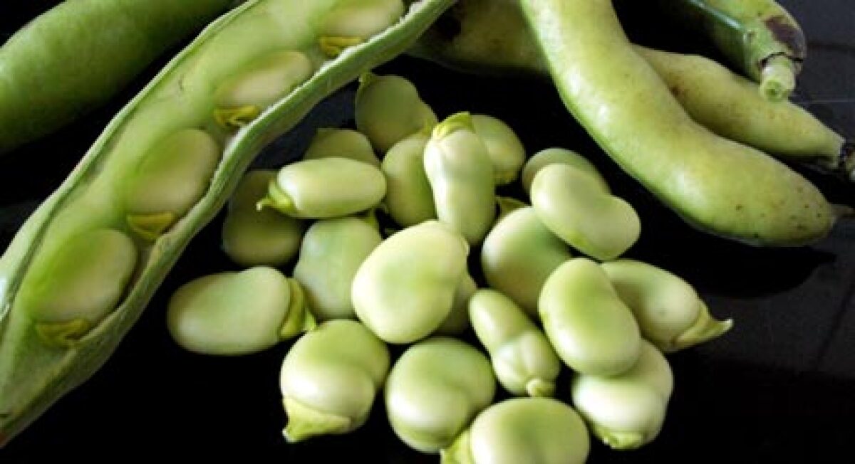 Légumes - Fèves